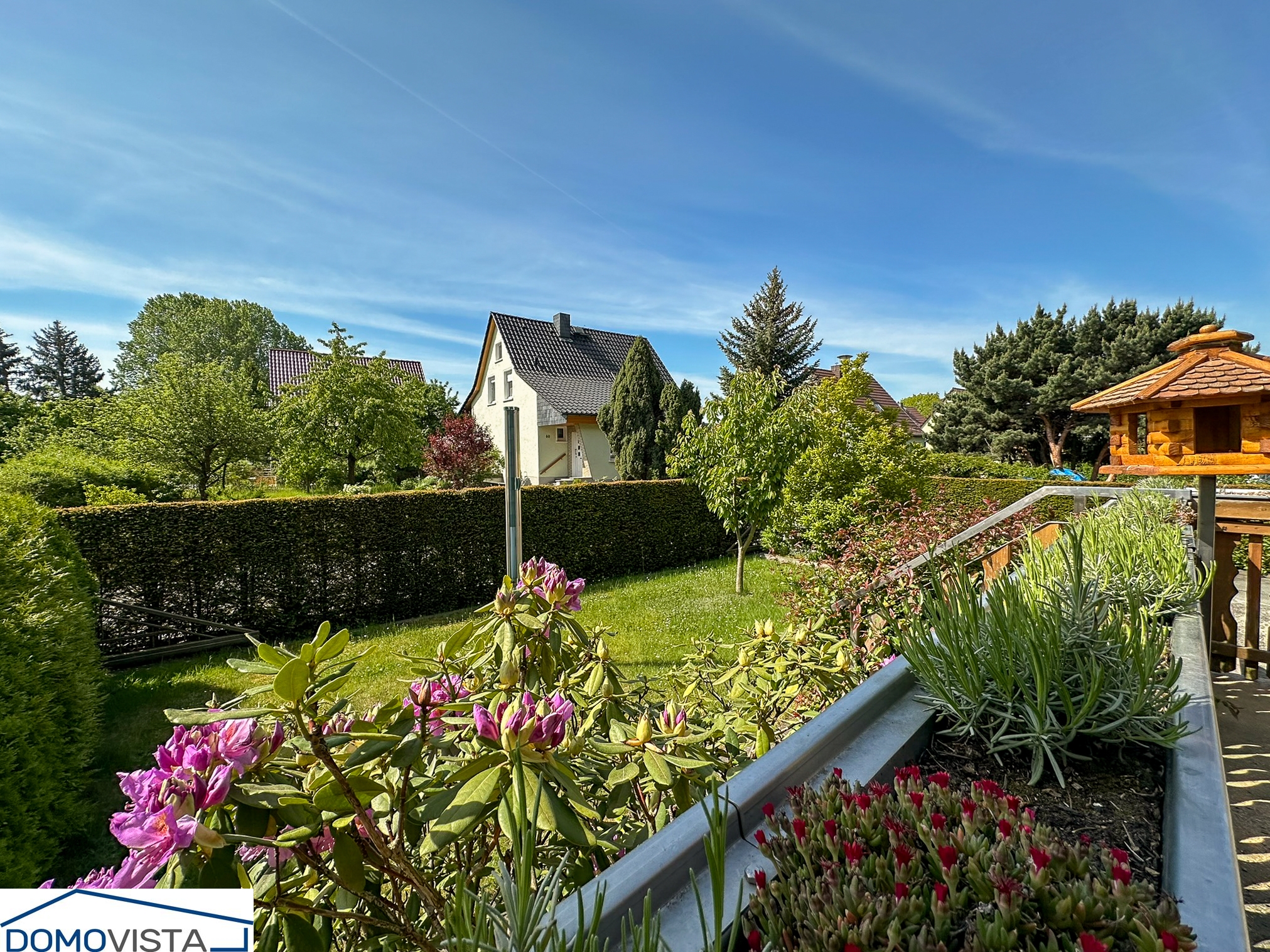 6. Blick von der Terrasse
