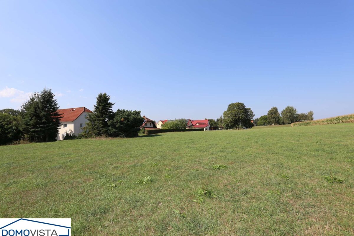 44. Blick auf die Wiesenflächen