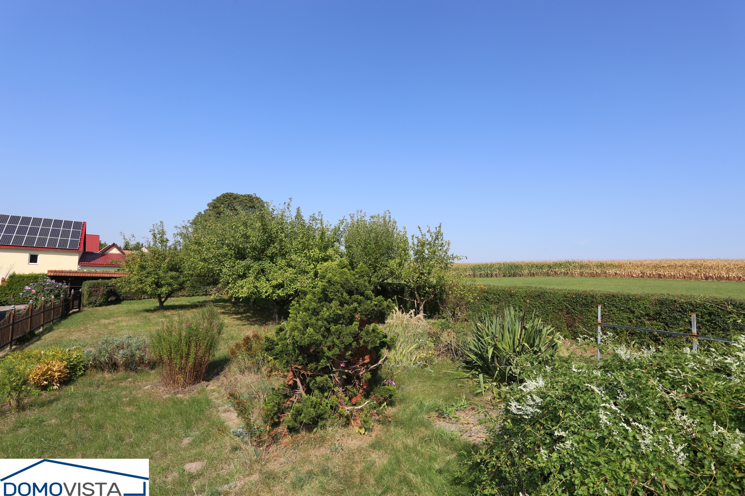 39. Blick in den Garten